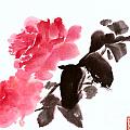 Pink Roses