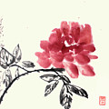 Reddish Pink Rose in Spring, Sumi-e Watercolor Painting